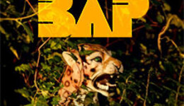 BAP - Fünfzig Jahre - Die Zielgerade - Tour 2026