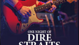 One Night of Dire Straits - Tribute Show